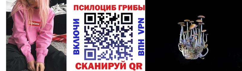 Псилоцибиновые грибы MAGIC MUSHROOMS  купить наркотик  Красноярск 