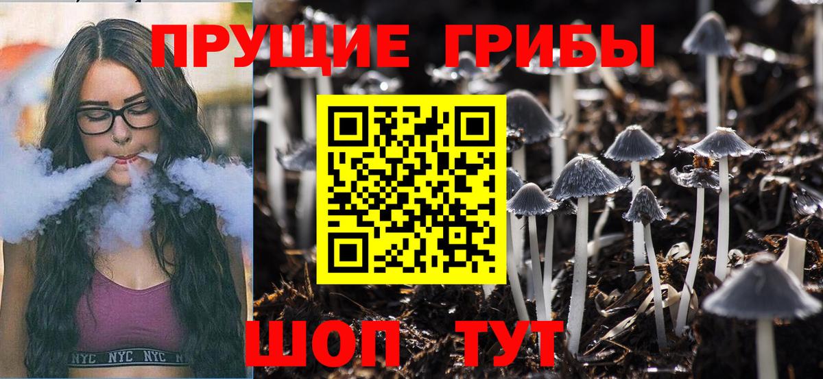 Красноярск  Галлюциногенные грибы Psilocybine cubensis  Вход с VPN 