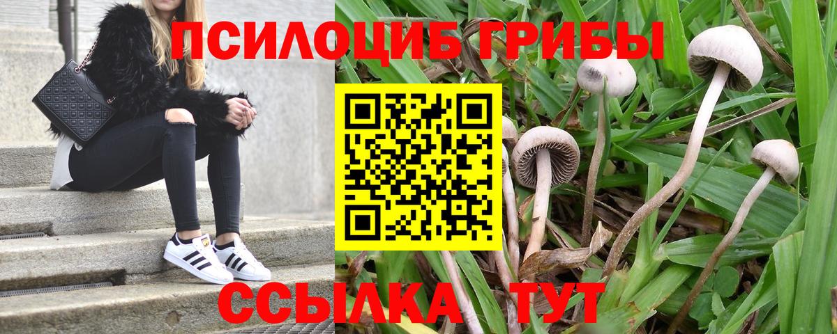 Галлюциногенные грибы ЛСД Красноярск